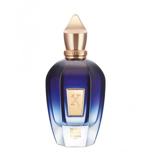 Парфюм Xerjoff More Than Words Eau de Parfum 100 мл (люкс копия)