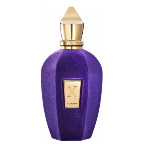 Парфум Xerjoff Accento Eau de Parfum 100 мл (люкс копія)