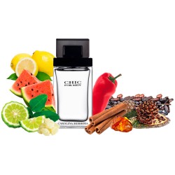 Концентрат MENS CHIC (Альтернатива Carolina Herrera Chic For Men) 100 мл