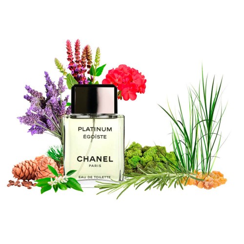 Концентрат PLATIN SCENT (Альтернатива Chanel Egoiste Platinum ) 100 мл