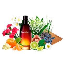 Концентрат FEAR (Альтернатива Christian Dior Fahrenheit) 100 мл