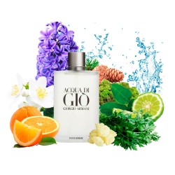 Концентрат AQUAMANIA (Альтернатива Giorgio Armani Acqua Di Gio Men) 100 мл