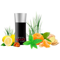 Концентрат SPORTS FRIEND (Альтернатива Giorgio Armani Code Sport) 100 мл