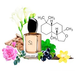 Концентрат SIMARINE (Альтернатива Giorgio Armani Si) 100 мл