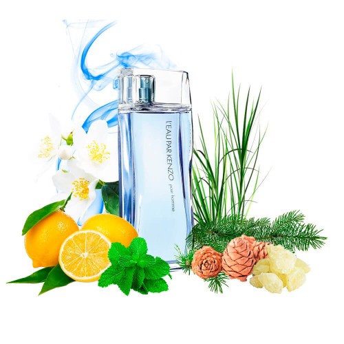 Концентрат KENO MAN (Альтернатива Kenzo L`eau par Pour Homme) 100 мл