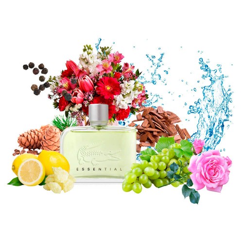 Концентрат SIGNIFICANT (Альтернатива Lacoste Essential) 100 мл