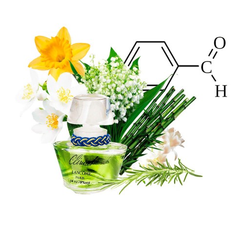 Концентрат ZEZA (Альернатива Lancome Climat) 100 мл