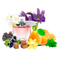 Концентрат NICE LIFE (Альтернатива Lancome La Vie Est Belle) 100 мл
