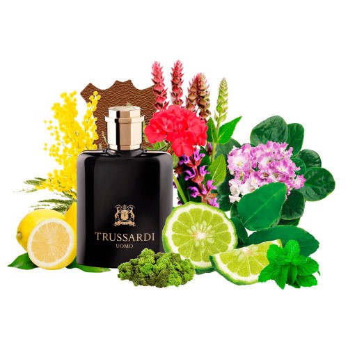 Концентрат TRUE MAN (Альтернатива Trussardi Uomo) 100 мл