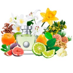 Концентрат VERRY ESSENCE (Альтернатива Versace Versense) 100 мл