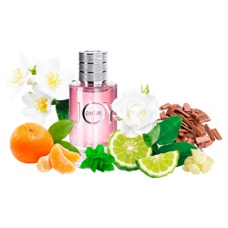 Концентрат JOYFUL MOOD (Альтернатива Christian Dior Joy By Dior) 100 мл