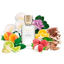 Концентрат FLORAL CHARM (Альтернатива Ex Nihilo Fleur Narcotique) 100 мл