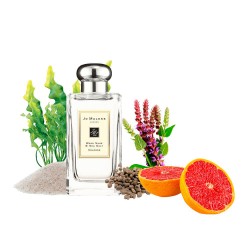 Концентрат JOIE SALINITY (Альтернатива Jo Malone Wood Sage & Sea Salt) 100 мл