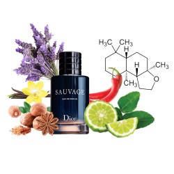 Концентрат WILDER PARFUM (Альтернатива Christian Dior Sauvage Eau de Parfum) 100 мл