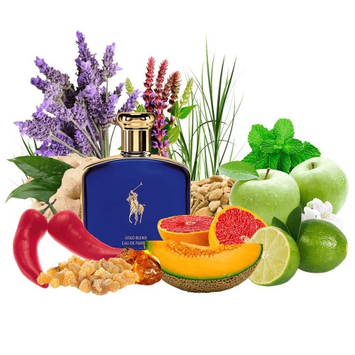 Концентрат GOLDEN BLUE (Альтернатива Ralph Lauren Polo Blue Gold Blend) 100 мл