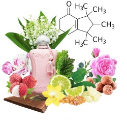 Концентрат DELLA (Альтернатива Parfums de Marly Delina) 100 мл