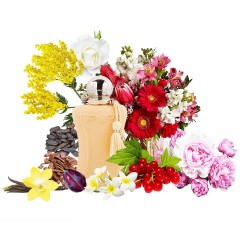 Концентрат MARCASIL (Альтернатива Parfums de Marly Cassili) 100 мл