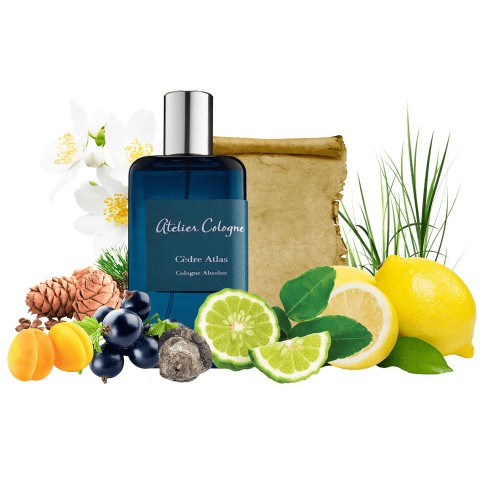 Концентрат DARK CEDAR (!!!! Альтернатива Atelier Cologne Cedre Atlas номер 233) 100 мл