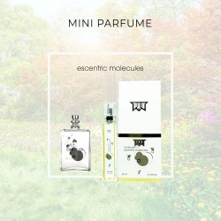 Мини парфюм Escentric Molecules Molecule 01 33 мл (Тестер PRO mini)