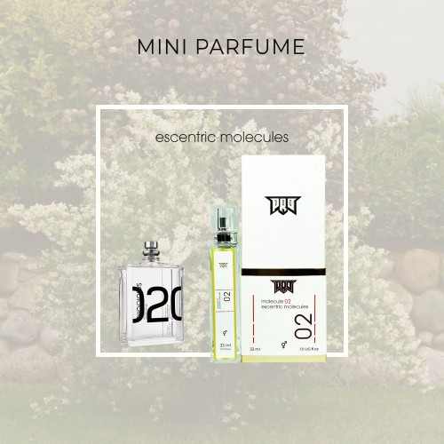 Мини парфюм Escentric Molecules Molecule 02 33 мл (Тестер PRO mini)