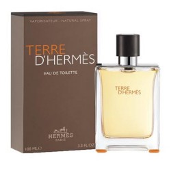 Парфюм Hermes Terre D'Hermes 100 мл (люкс копия)