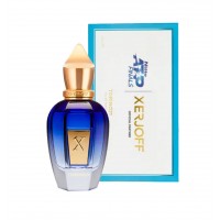 Парфюм Xerjoff Torino21 EDP 100 мл (с магнитной лентой) (люкс копия)
