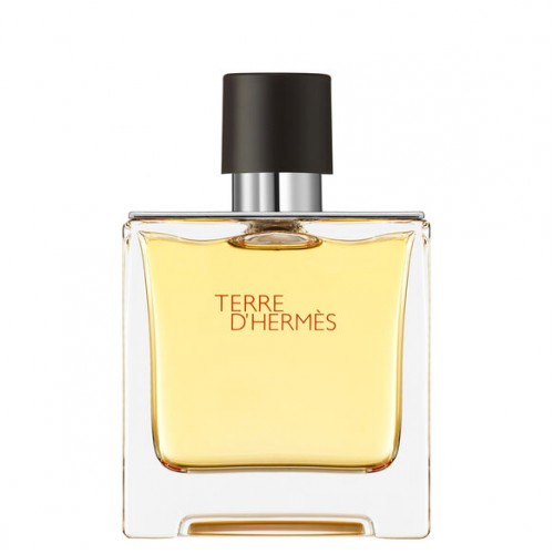 Парфюм Hermes Terre D'Hermes 50 мл (49)(люкс копия)
