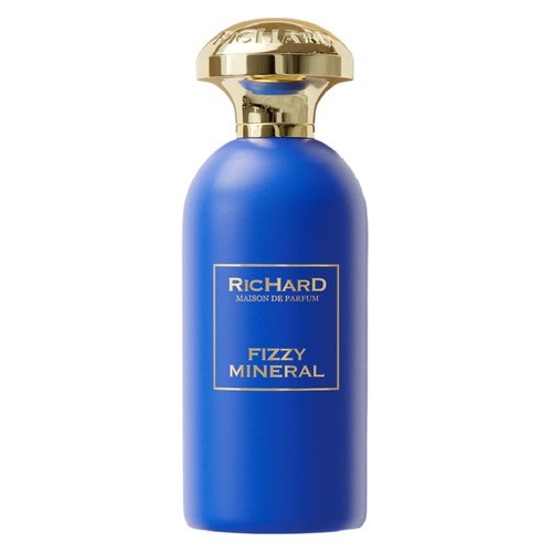 Парфюм Richard Fizzy Mineral 100 мл (K) (люкс копия)