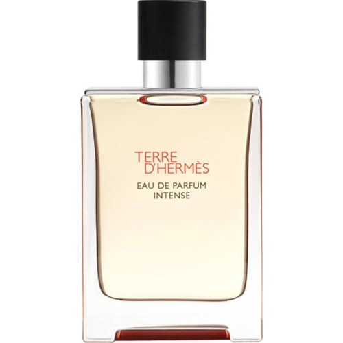 Парфюм Hermes Terre D'Hermes Eau de parfum 100 мл (люкс копия)