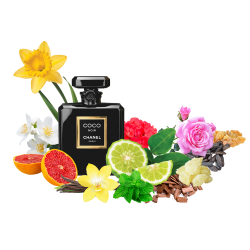 Концентрат ZOUZOU (Альтернатива CHANEL- COCO NOIR) 100 мл
