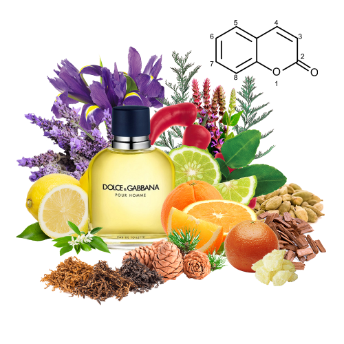 Концентрат SWEET FELLOW (Альтернатива DOLCE&GABBANA -POUR HOMME) 100 мл