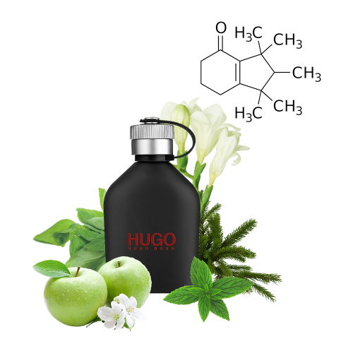 Концентрат DIFFERENT MAN (Альтернатива HUGO BOSS-JUST DIFFERENT) 100 мл