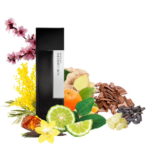 Концентрат BLACK GABERINE (Альтернатива LAURENT MAZZONE PARFUMS-NOIR GABARDINE) 100 мл