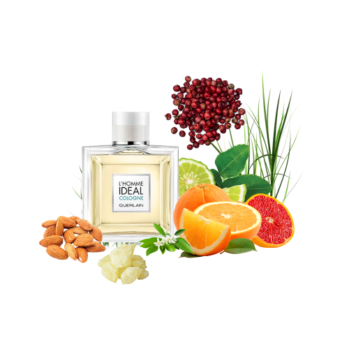 Концентрат FRESH DREAM (Альтернатива GUERLAIN-L'HOMME IDEAL COLOGNE) 100 мл