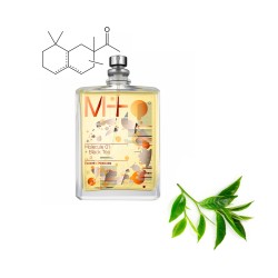 Концентрат  TEA NOIR   (Альтернатива ESCENTRIC MOLECULES-MOLECULE 01 + BLACK TEA ) 100 мл