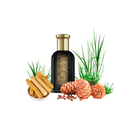 Концентрат CHIEF ELIXIR (Альтернатива hugo boss bottled elixir) 100 мл