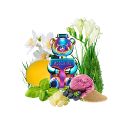 Концентрат SWEET BOY (Альтернатива moschino toy 2 pearl) 100 мл
