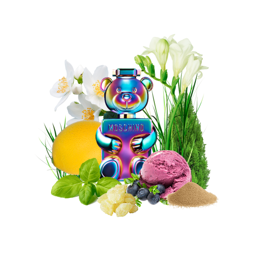 Концентрат SWEET BOY (Альтернатива moschino toy 2 pearl) 100 мл