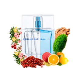 Концентрат BASI SPORT (Альтернатива ARMAND BASI BLUE SPORT) 100 мл