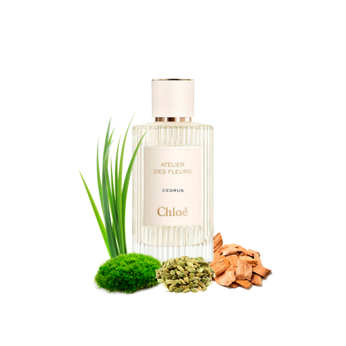 Концентрат CEDAR ELEGANCE (Альтернатива CHLOE ATELIER DES FLEURS CEDRUS) 100 мл
