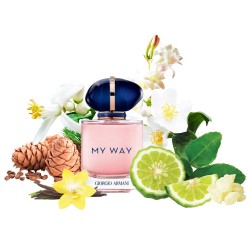 Концентрат MY MODE (Альтернатива GIORGIO ARMANI - MY WAY) 100 мл
